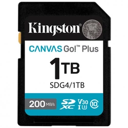Флеш (Flash) карты Kingston Canvas Go Plus Gen4 C10 SDG4/1TB 1 ТБ