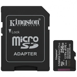 Флеш (Flash) карты Kingston Canvas Select Plus A1 U1 V10 SDCS3/256GB 256 ГБ