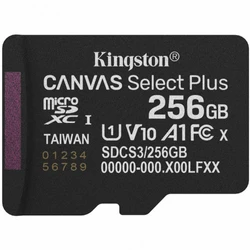 Флеш (Flash) карты Kingston SDCS3/256GBSP 256 ГБ