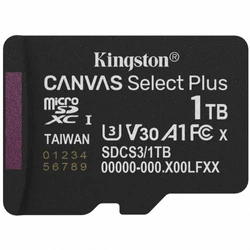 Флеш (Flash) карты Kingston Canvas Select Plus A1 U3 V30 SDCS3/1TBSP 1 ТБ