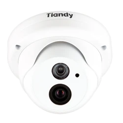 IP видеокамера Tiandy Dome TC-NC9500S3E-MP-E-IR30 Купольная, Уличная, Проводная, 2.8 мм, 1/3", 1.3 Мп ~ 1280×960 SXGA