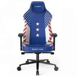 Компьютерное кресло DXRacer CRAFT PRO CRA-PR009-BW-H1