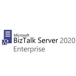 Софт Microsoft BizTalk Server 2020 Branch DG7GMGF0G49Z-0002