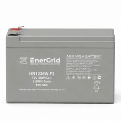 Сменные аккумуляторы АКБ для ИБП EnerGrid HR1236W F2 12 В