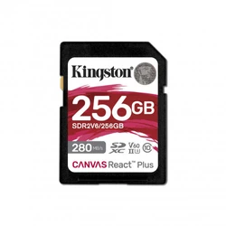 Флеш (Flash) карты Kingston SDR2V6/256GB 256 ГБ