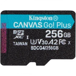Флеш (Flash) карты Kingston SDCG4/256GBSP 256 ГБ