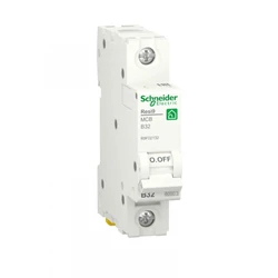 Schneider Electric R9F02132