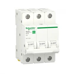 Schneider Electric R9F12306