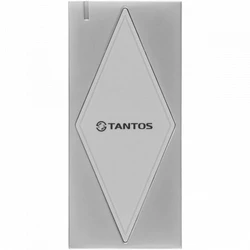 Считыватель RFID Tantos TS-RDR-EHMF уличный антивандальный 00-00037428