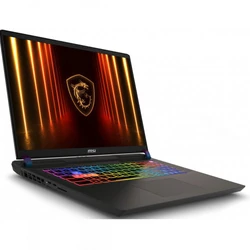 Ноутбук MSI MS-17S3 Vector 17 HX AI A2XWIG-247XBY 9S7-17S372-247 17 ", WQXGA 2560x1600 (16:10), Intel, Core Ultra 9, 32 Гб, 1 ТБ, NVIDIA GeForce RTX5080
