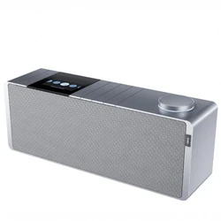 Портативная колонка Loewe  klang s1 60607S10 Серый