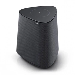 Портативная колонка Loewe  klang mr1 Basalt-Grey 60604D10 Серый