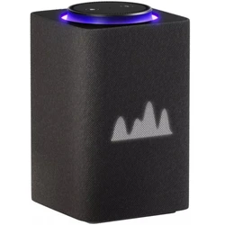 Яндекс Станция Макс Zigbee Graphite YNDX-00053K