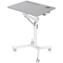 Cactus CS-FDS101WGY