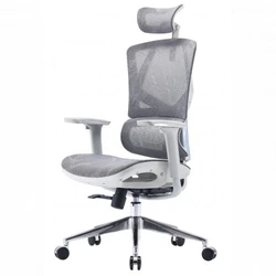 Компьютерный стул Sihoo M90C-N402