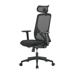 Компьютерное кресло Eco Estelar CH05-39