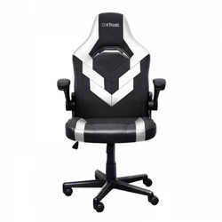 Компьютерный стул Trust GXT703W Riye 25130