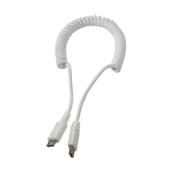 Опция к POS терминалам EAGLE Дополнительный противокражный кабель B5242CW (Type-C)