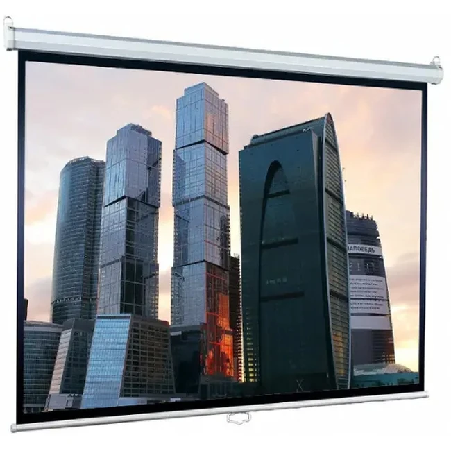 Проекционный экран Lumien Eco Picture LEP-100109
