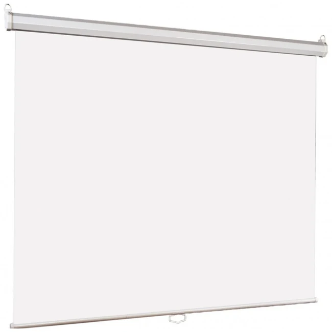 Экран Lumien Eco Picture LEP-100113