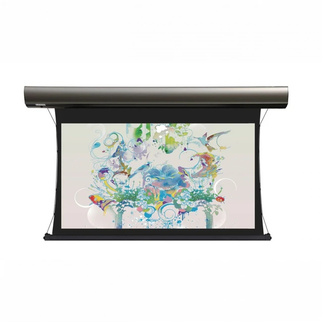 Экран Lumien LCTC-100111