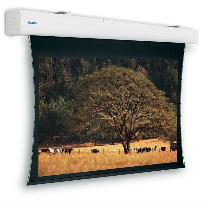 Экран PROJECTA Tensioned Elpro Large Electrol 10192686