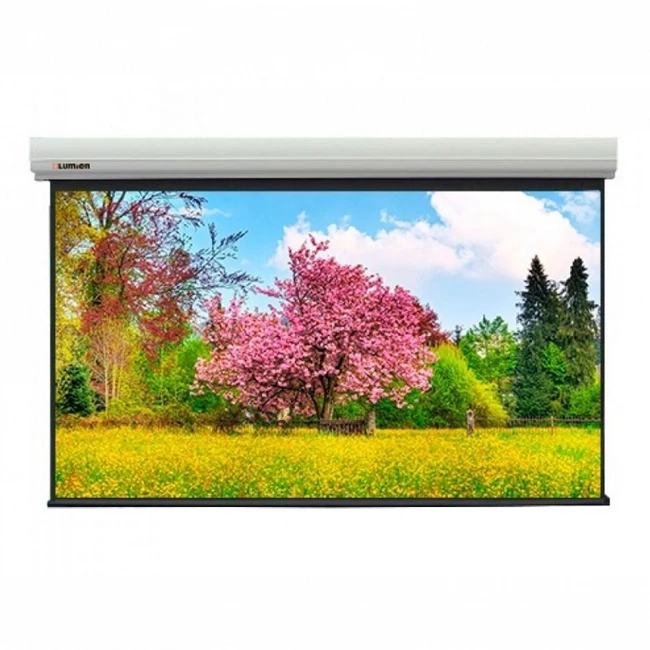 Экран Lumien Master Large Control LMLC-100117A