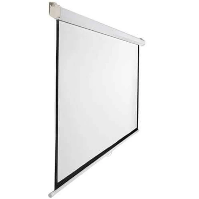 Экран PROscreen EWS3100