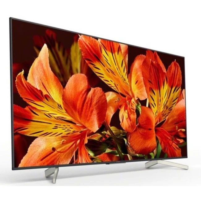 Телевизор Sony KD-49XF8596 KD49XF8596BR2, KD49XF8596BR