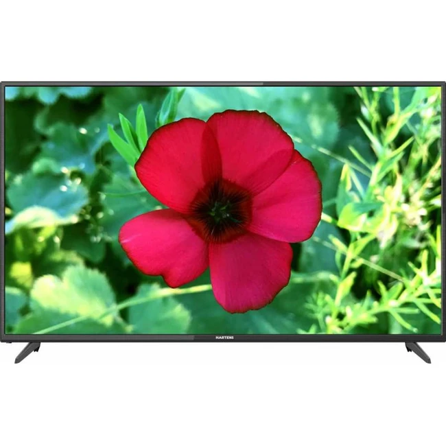 Телевизор Hartens HTV-55F01-TC/A7