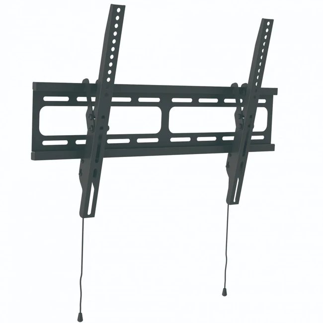 Опция к профессиональным панелям Wize WT55