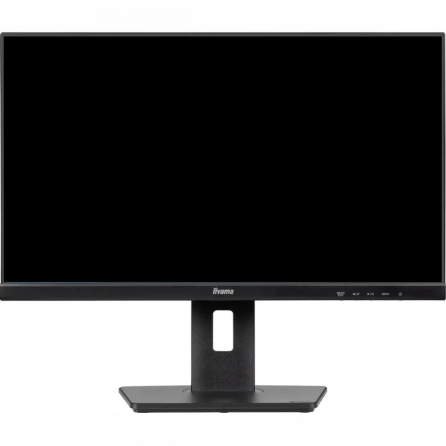 Монитор IIYAMA ProLite XUB2493HS-B6 (23.8 ", IPS, Full HD 1920x1080 (16:9), 100 Гц)