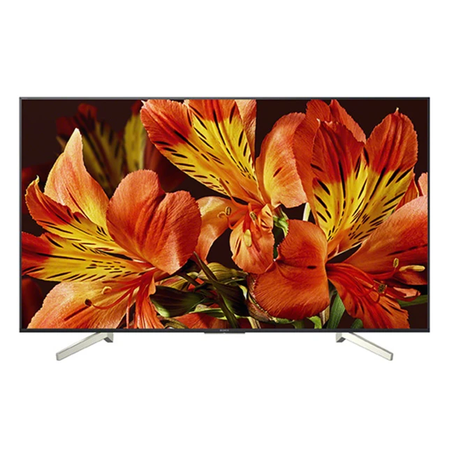 Телевизор Sony KD55XF8596BR2