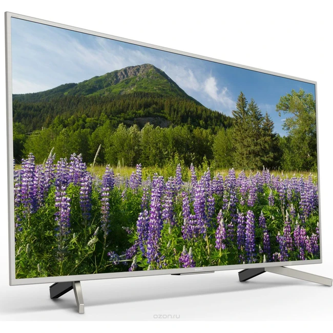 Телевизор Sony KD49XF7077SR2
