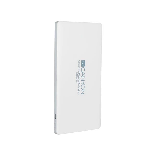 Внешний аккумулятор (Power Bank) Canyon Power bank 5000mAh CNS-TPBP5W (5000 мАч, Серебро)