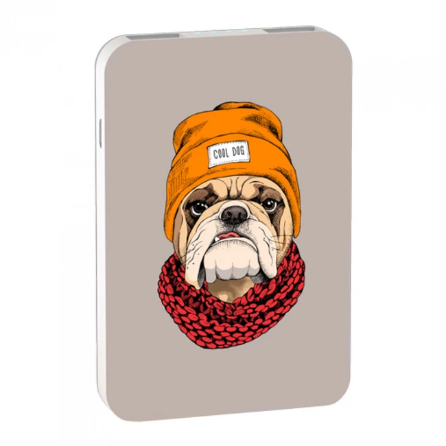 Внешний аккумулятор (Power Bank) Ritmix RPB-10007 Bulldog RPB-10007-BULLDOG (10000 мАч, Бежевый)