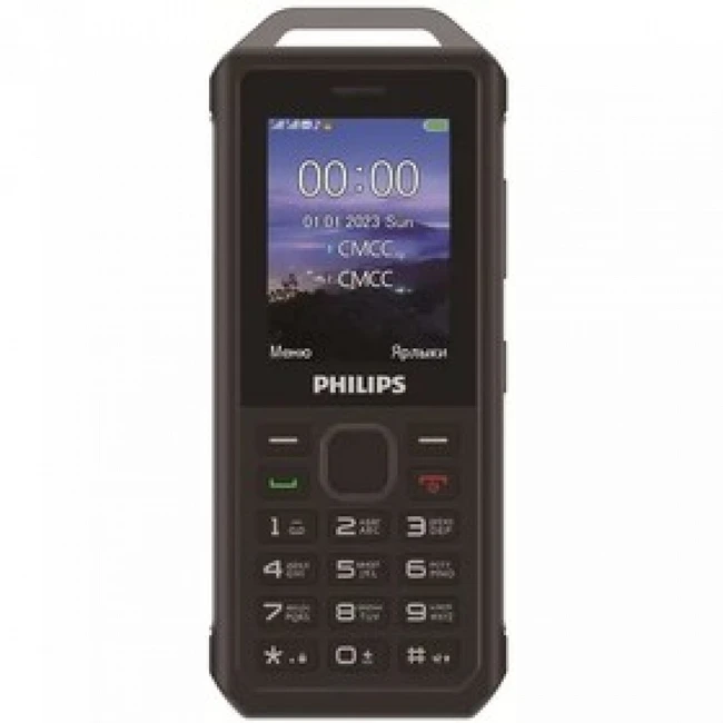 Мобильный телефон Philips E2317 Xenium CTE2317DG/00