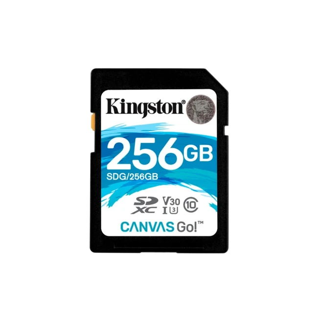 Флеш (Flash) карты Kingston SDG/256GB (256 ГБ)