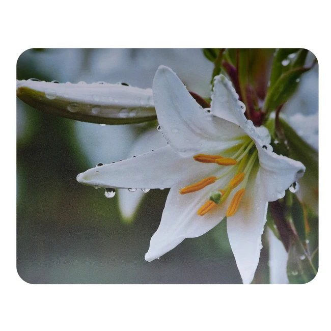 Коврик для мышки Buro BU-M20041