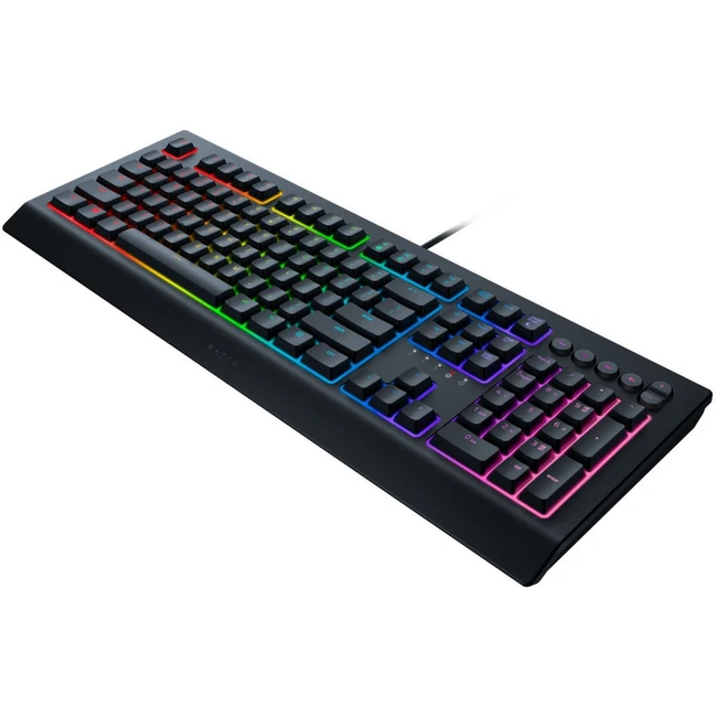 Клавиатура Razer Cynosa V2 RZ03-03400700-R3R1 (Проводная, USB)