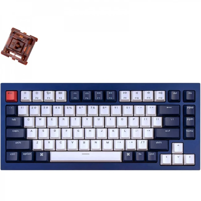 Клавиатура Keychron Blue Knob Brown Switch RGB Hot-Swap Gateron G pro Mechanical Q1O3_Keychron (Проводная)