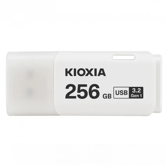 USB флешка (Flash) KIOXIA LU301W256GG4 256 ГБ