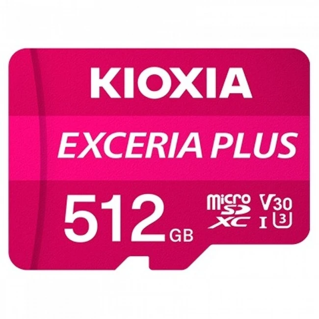 Флеш (Flash) карты KIOXIA LMPL1M512GG2 512 ГБ