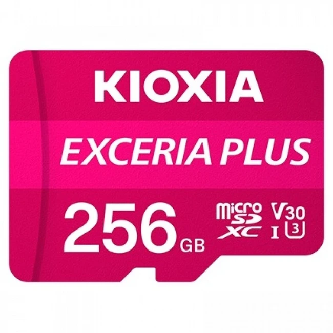 Флеш (Flash) карты KIOXIA LMPL1M256GG2 256 ГБ