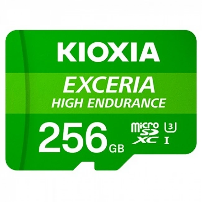 Флеш (Flash) карты KIOXIA LMHE1G256GG2 (256 ГБ)