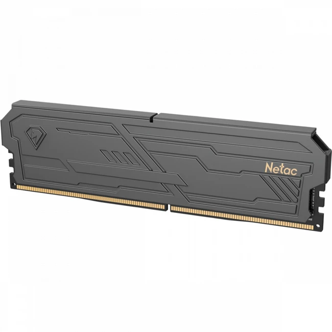 ОЗУ Netac NTSHD5P60SP-16KC 543419 DIMM, DDR5, 16 Гб, 6000 МГц