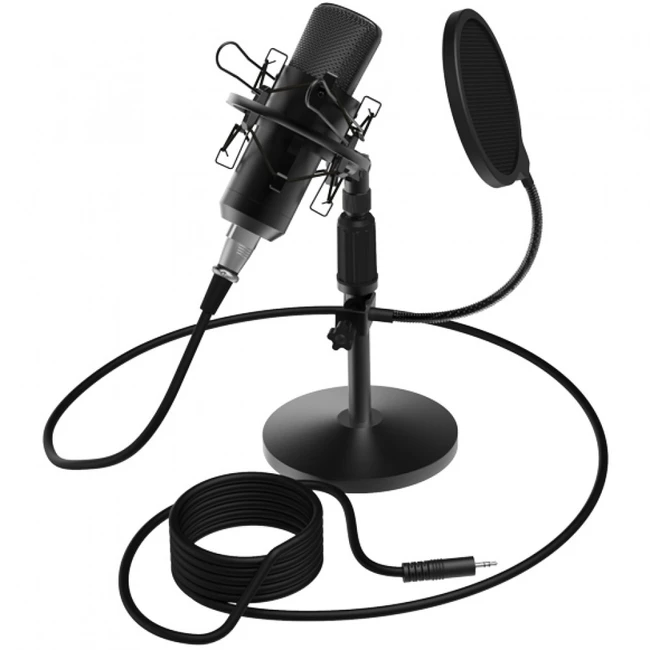 Микрофон Ritmix RDM-175 Black