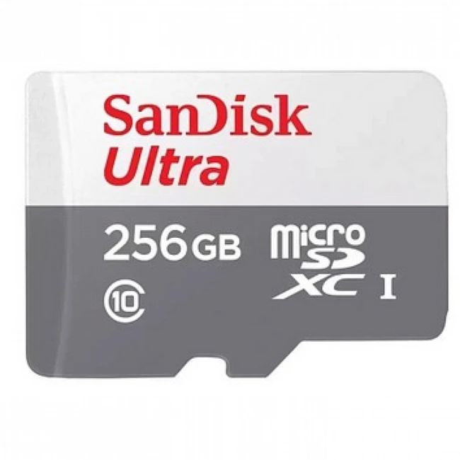 Флеш (Flash) карты SanDisk SDSQUNR-256G-GN3MN (256 ГБ)