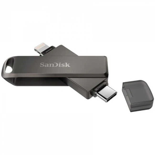 USB флешка (Flash) SanDisk SDIX70N SDIX70N-256G-GN6NE (256 ГБ)