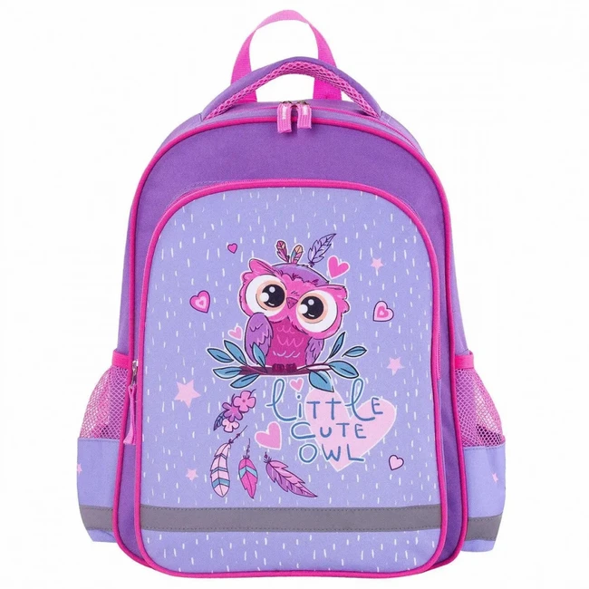 Сумка для ноутбука Пифагор School Owlet 229991 (13)